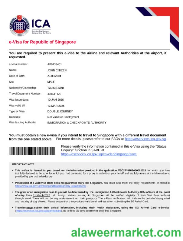Singapore e-visa template in Word and PDF formats, version 2